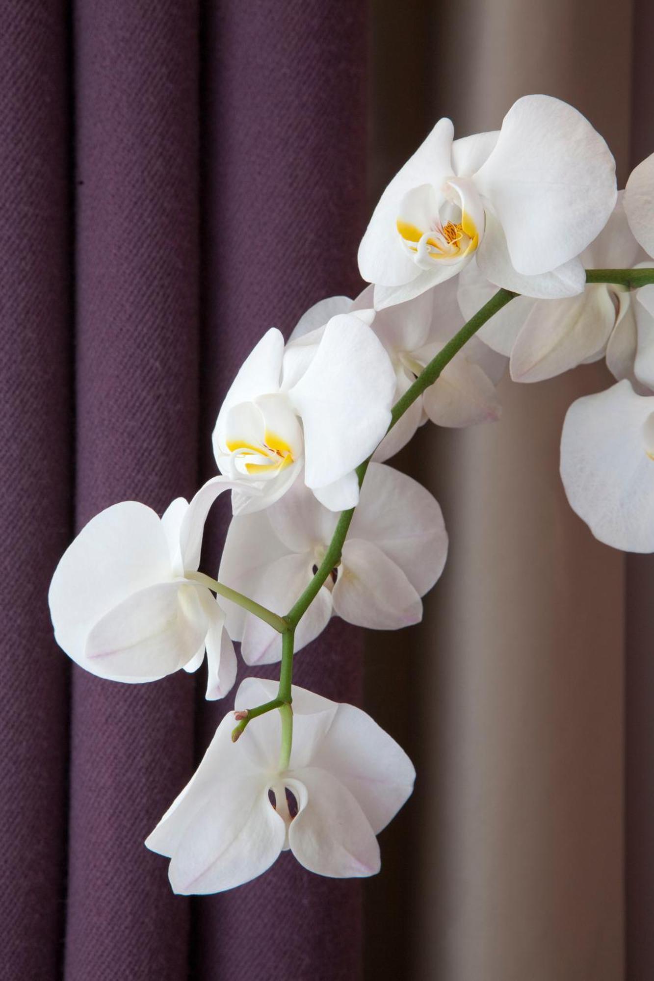 Hotel Duret Paris Champs Elysees Luaran gambar